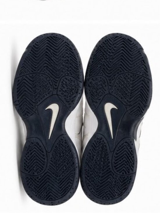 Collectible Nike Court Lite 2 White Royal Pulse AR8836 106